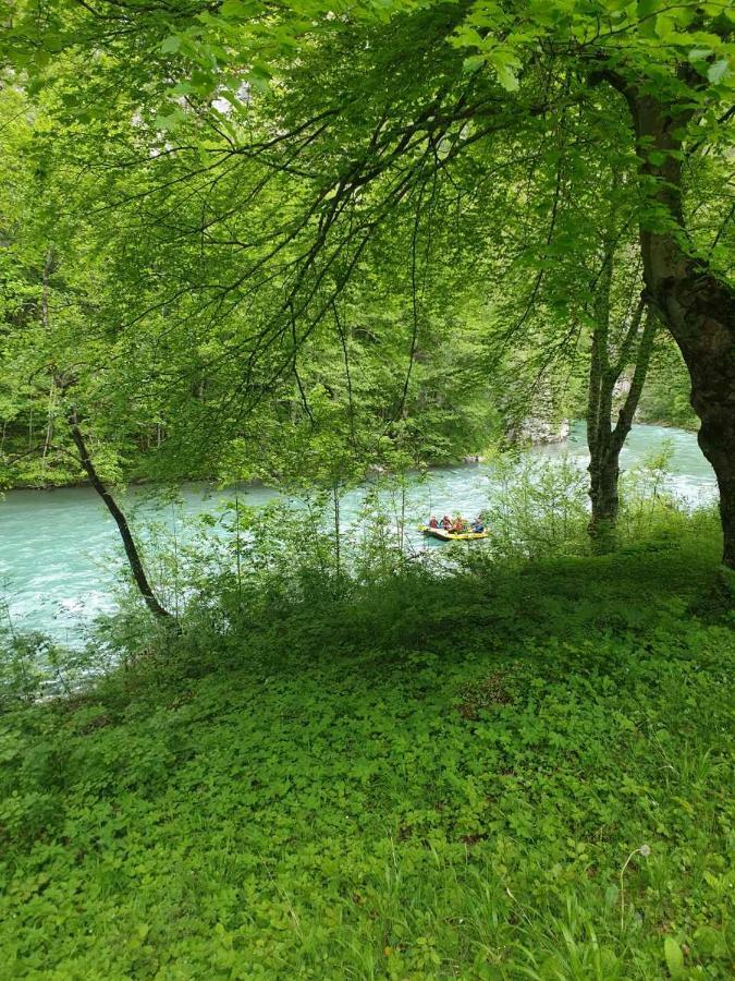 Apartmani Cetkovic Žabljak Buitenkant foto