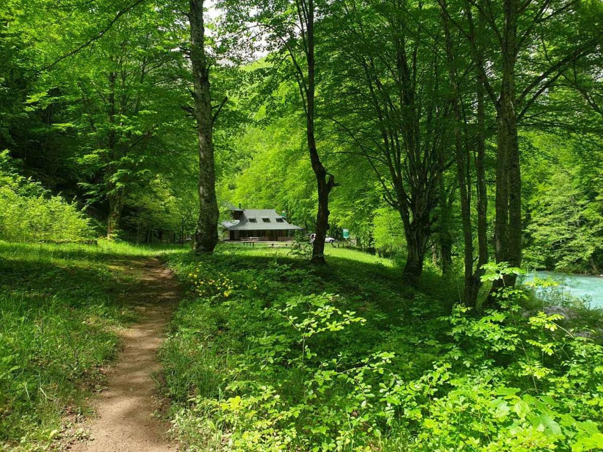 Apartmani Cetkovic Žabljak Buitenkant foto